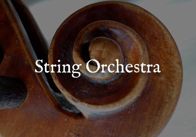 String Orchestra